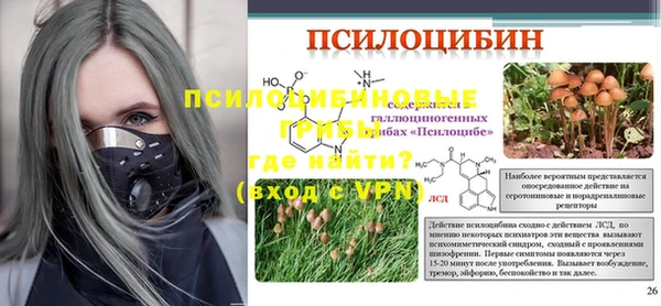 прущая мука Алексин